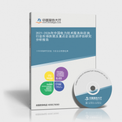 2021-2026年中國(guó)電力技術(shù)服務(wù)和咨詢行業(yè)市場(chǎng)供需及重點(diǎn)企業(yè)投資評(píng)估研究分析